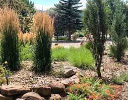 Los Jardineros & Friends of the Taos Public Library